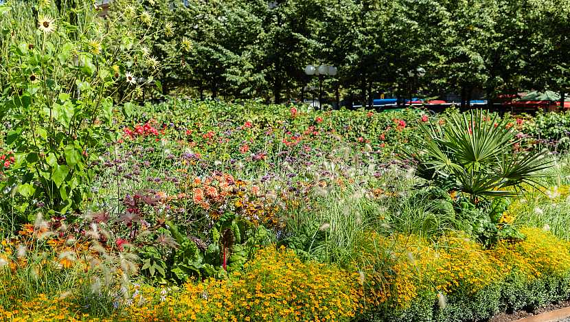 Bohatě kvetoucí zahrada je pro opylovače nejlepší (Zdroj: Depositphotos)