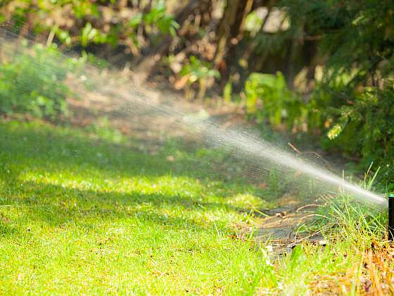 Jak udržet vodu v zahradě a neplýtvat s ní? (Zdroj: Depositphotos (https://cz.depositphotos.com))