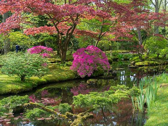 Tam, kde voda s větrem tančí aneb návštěva v Kenilworth Parku a Aquatic Gardens ve Washingtonu