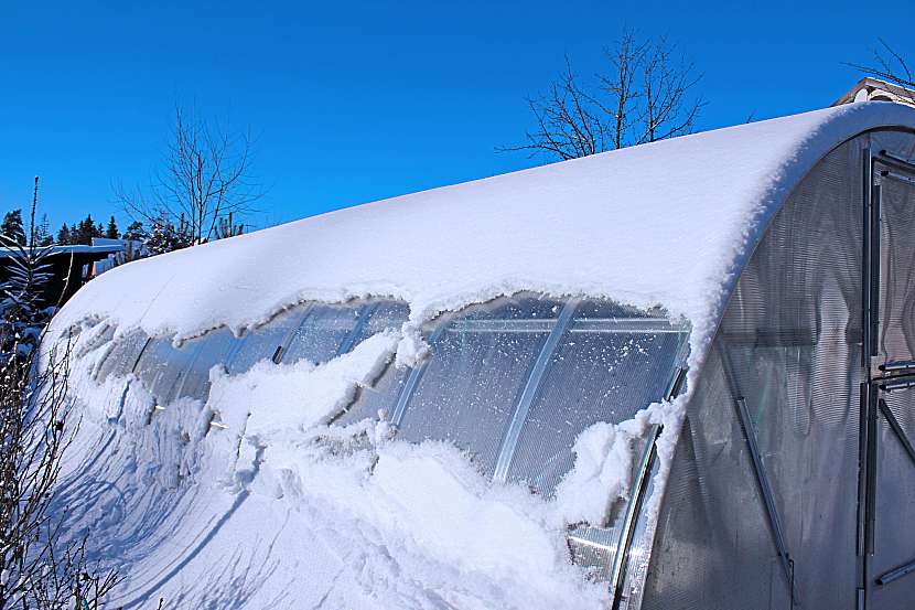 Skleníky mohou pod návalem sněhu popraskat