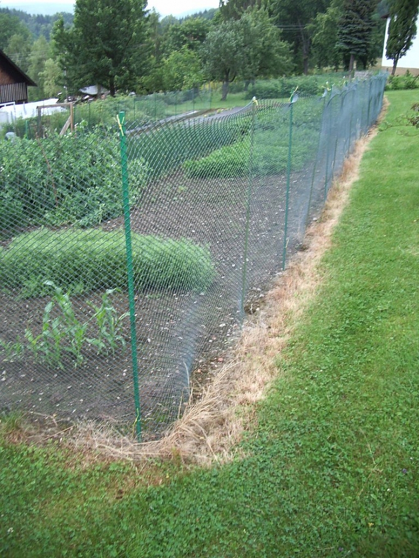 Herbicidy je možné bezpečně používat i k hubení plevele prorůstajícího do plotu