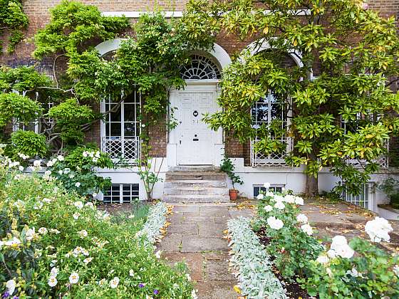 Anglická zahrada může vyrůst za naším domem (Zdroj: Depositphotos (https://cz.depositphotos.com))