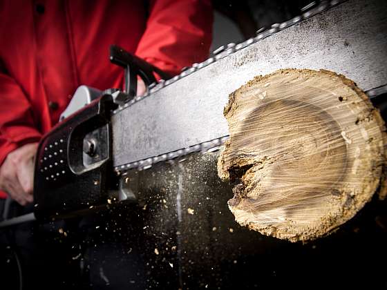 Správný výběr pily vám pomůže při přípravách dřeva na zimu (Zdroj: Depositphotos (https://cz.depositphotos.com))