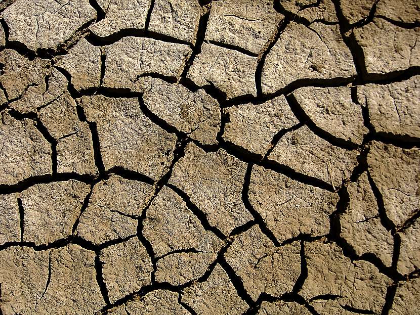 Zasolení půdy mění ornici v důsledku přemíry průmyslových hnojiv na poušť bez života (Zdroj: Depositphotos)