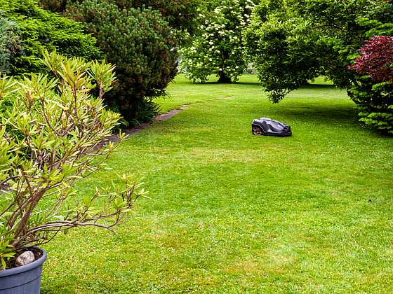 Jak ochránit robotickou sekačku před nástrahami zahrady? Nainstalujte vodicí drát (Zdroj: Depositphotos (https://cz.depositphotos.com))