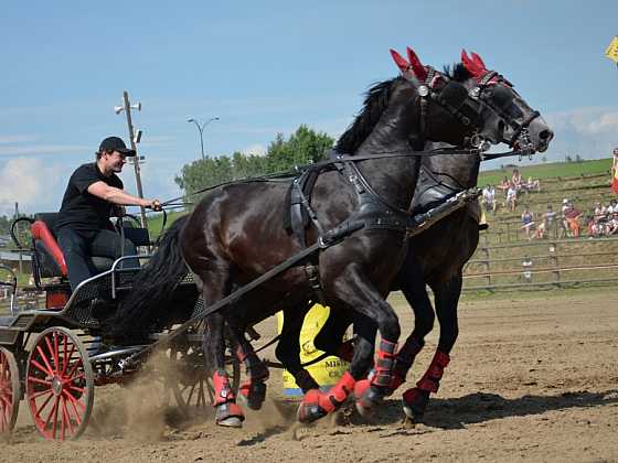 Velký průvod koní, strhující westernové závody i soutěž o 5 000 korun