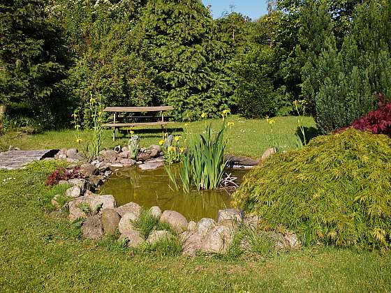 Zahradní rybníček se stane tím pravým místem k relaxaci (Zdroj: Depositphotos (https://cz.depositphotos.com))
