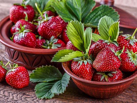 Zasaďte si na jaře kvalitní jahody. Pomůžeme vám vybrat ty správné sazenice (Zdroj: Depositphotos (https://cz.depositphotos.com))