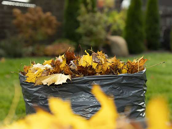 otevřít: Úklid zahrady na podzim je zásadní úkon každého zahrádkáře