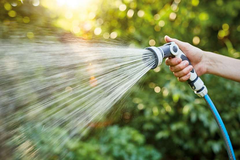 Nejlépe je používat vodu z dešťových sudů na okrasné rostliny, stromy a trávníky