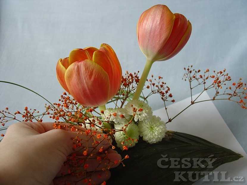 Jarní květina na stůl