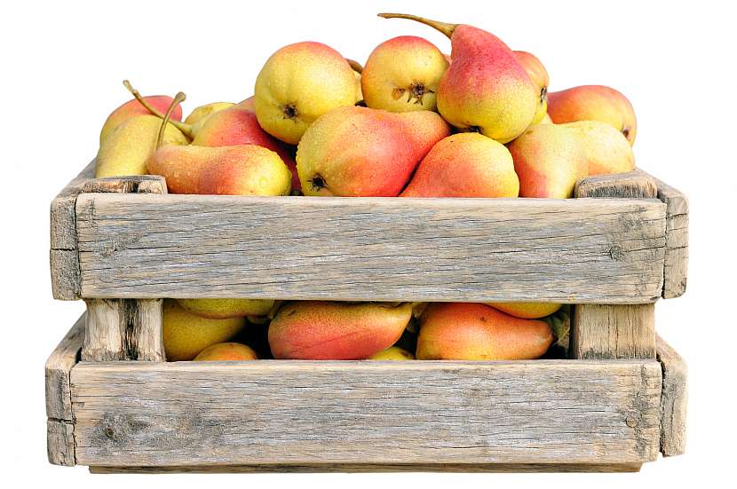 Při skladování pozdních odrůd ovoce dbejte na základní zásady
