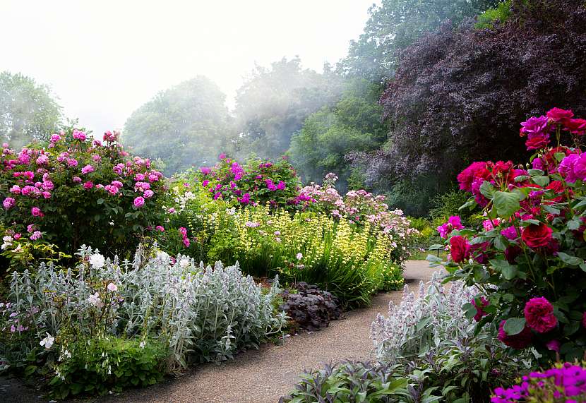 Anglická zahrada vás okouzlí svým organizovaným nepořádkem