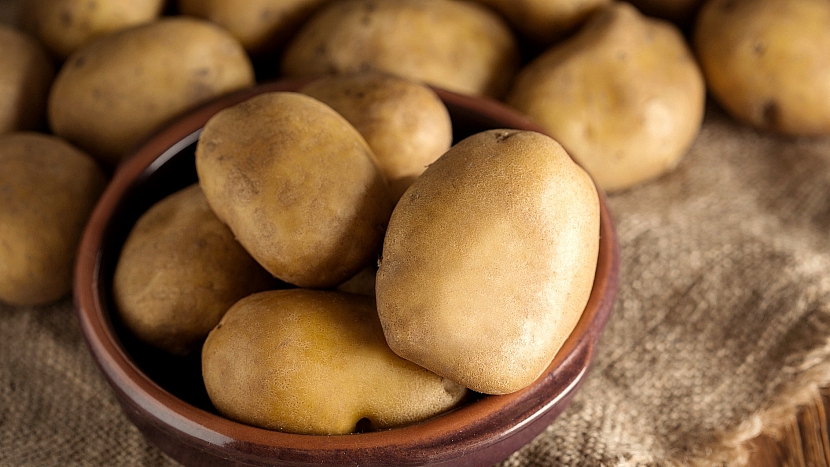 Chcete-li perfektní brambory, začněte s výběrem správné odrůdy