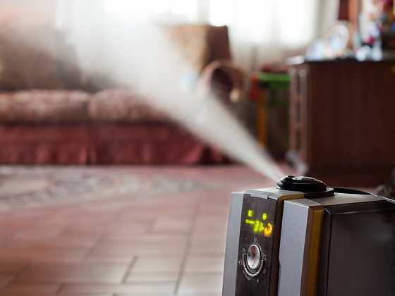 Vzduch v domácnosti je plný nástrah především pro alergiky. Jak se poprat s tím, aby klima v domácnosti bylo pro takové osoby přijatelné a prosté případných problémů? (Zdroj: Depositphotos)