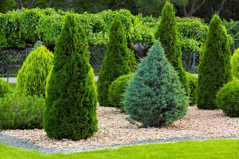 Výsadbou okrasných dřevin obohatíte každou zahradu (Zdroj: Depositphotos (https://cz.depositphotos.com))