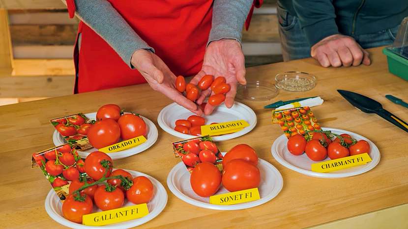Vyzkoušejte nové, odolné a velmi chutné druhy rajčat