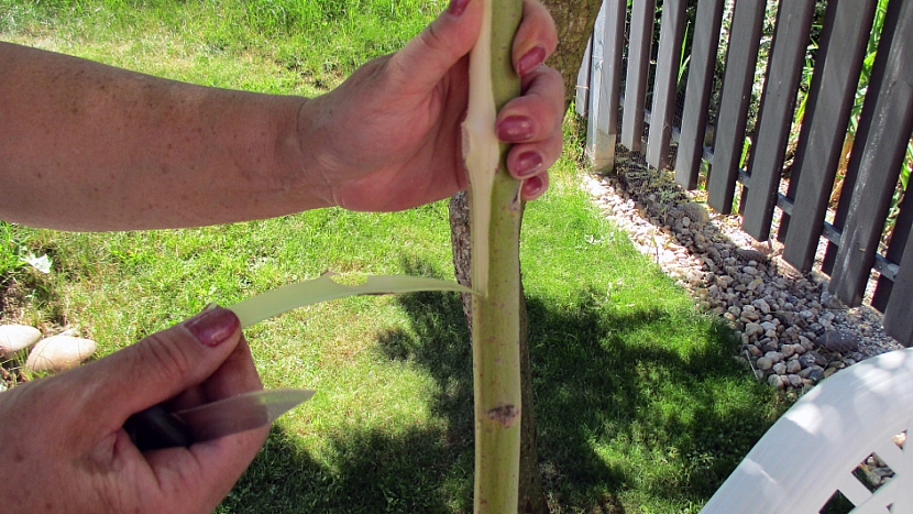Jak si udělat závěsnou tyč na sušení bylinek na zahradě 2