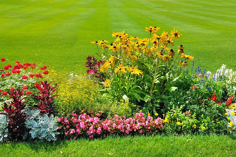 Záhony v trávníku udělají velkou změnu na zahradě (Depositphotos (https://cz.depositphotos.com))