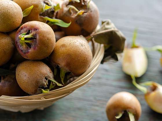 Pěstujte mišpuli, ovoce se zvláštním jménem (Zdroj: Depositphotos (https://cz.depositphotos.com))