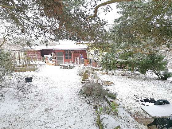 otevřít: Ani v prosinci nezapomínejte na zahradu. Co všechno je potřeba ještě udělat?