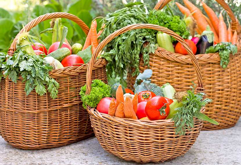 Seznamte se s novými odrůdami velmi chutné zeleniny (Zdroj: Depositphotos)