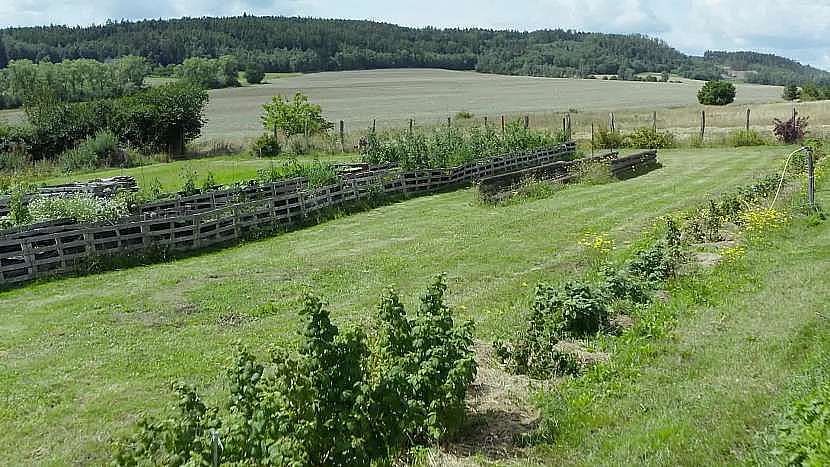 Velké plochy trávníku nabízejí spoustu organického materiálu na mulčování