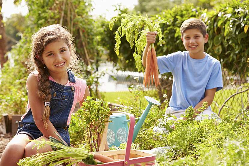 Naučte děti pracovat na zahradě, postupem času se z nich mohou stát zdatní pěstitelé (Zdroj: Depositphotos (https://cz.depositphotos.com))