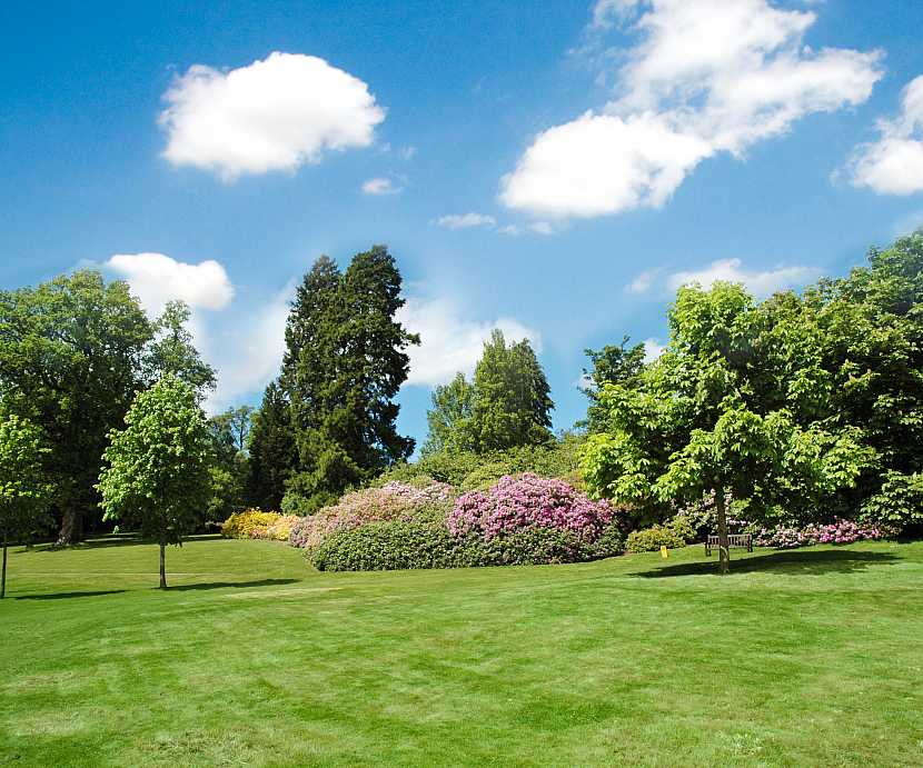 Dokonale upravený trávník je sen každého zahrádkáře (Zdroj: Depositphotos)