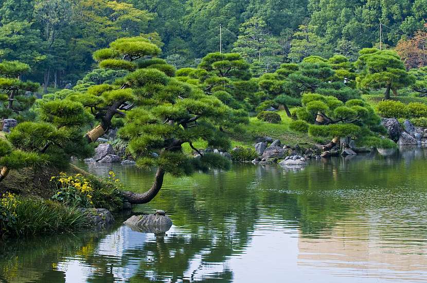 Vodní plochy a zeleň jsou základními prvky japonské zahrady