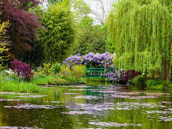 Národní park Kenilworth a vodní zahrady ve Washingtonu