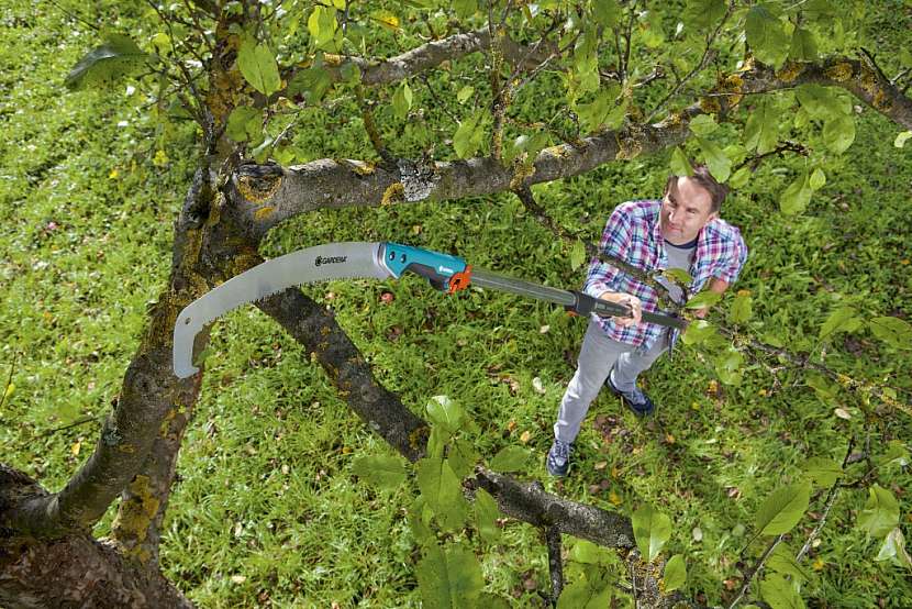 Optimální úhel řezu, dokonce i na nejvyšších místech v koruně stromů