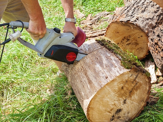 Elektrická řetězová pila může být výkonným pomocníkem