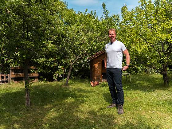 otevřít: Nejčastější chyby při pěstování ovocných stromů: Kvůli těmto omylům přicházíte o úrodu