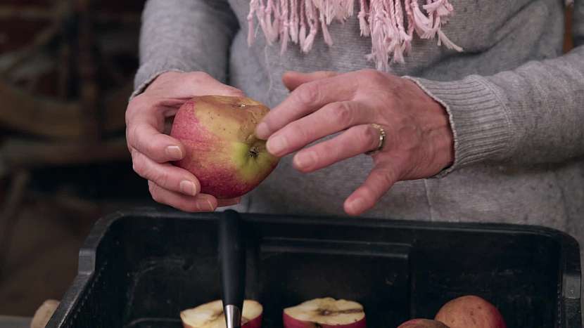 Jablka mohou poškodit kroupy, vosy, ptáci i nesprávná manipulace
