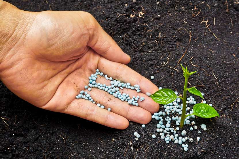Organické hnojivo v zahradě je cennější než hrouda zlata (Zdroj: Depositphotos (https://cz.depositphotos.com))