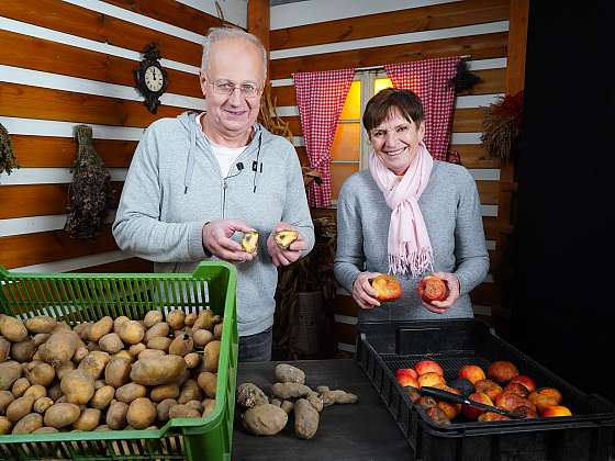 Jablka i brambory bychom měli skladovat v prodyšných přepravkách nebo bedýnkách (Zdroj: Archiv FTV Prima, se svolením FTV Prima)
