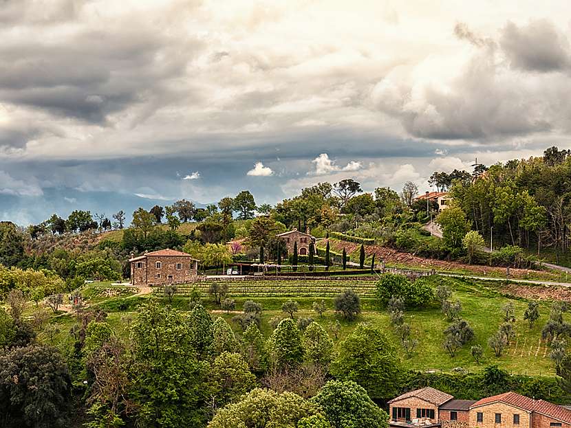 Čím je zajímavá toskánská zahrada? Jak si ji zařídit i u nás? (Zdroj: Tomáš Čmuchálek)