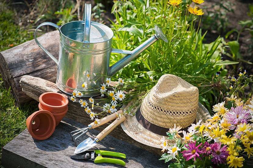 Co dělat na zahradě v srpnu? Zalévat, množit, sklízet a připravovat se pomalu na další zahradníkům rok… (Depositphotos (https://cz.depositphotos.com)
