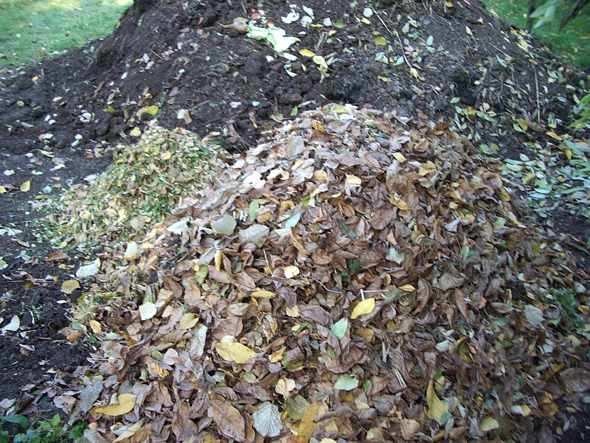 Listí na kompostu