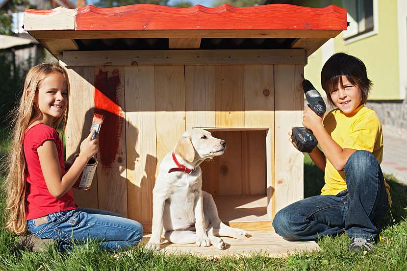Při nátěru boudy pro psa zohledňujte zdravotně nezávadné barvy