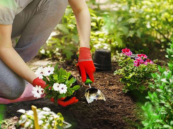 Vyhrajte zahradní pomůcky od Gardena.cz