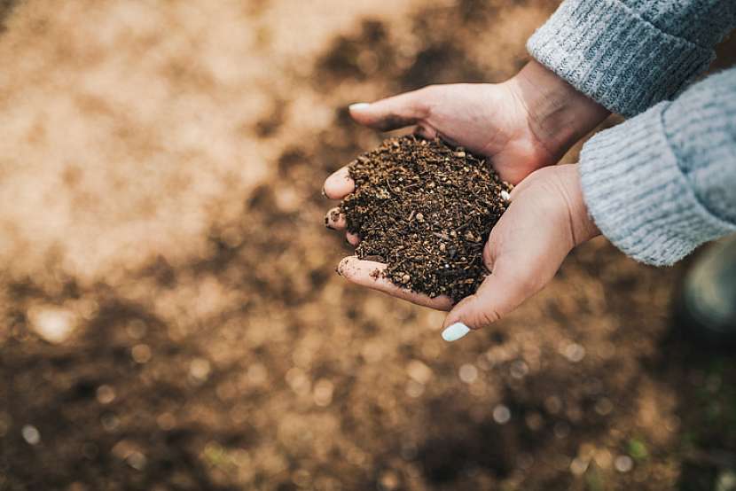 Kromě vody můžete trávníku dopřát pořádnou dávku přírodního hnojiva-kompostu