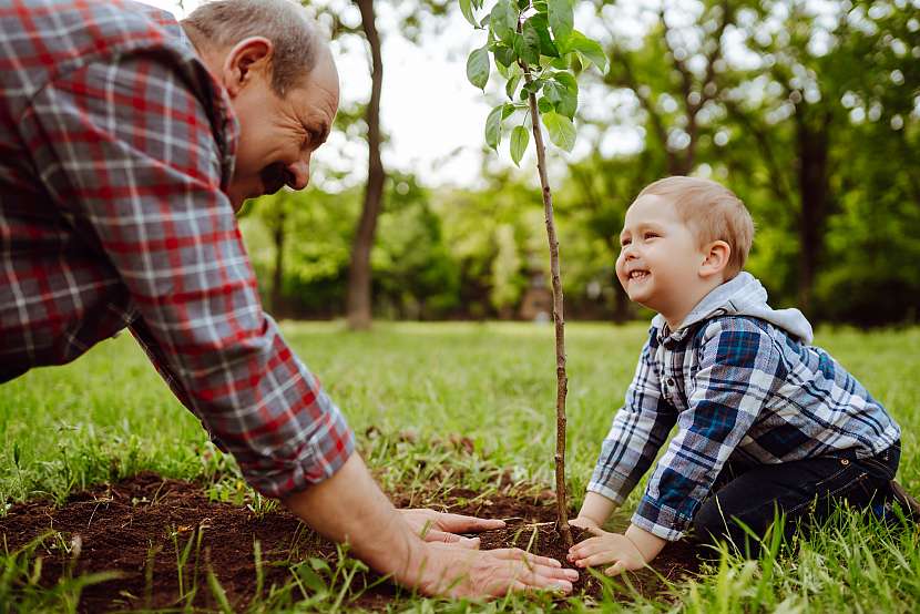 Výsadbou stromů a keřů obohatíte vaši zahradu. Děti vám jistě rády pomohou (Zdroj: Depositphotos (https://cz.depositphotos.com))