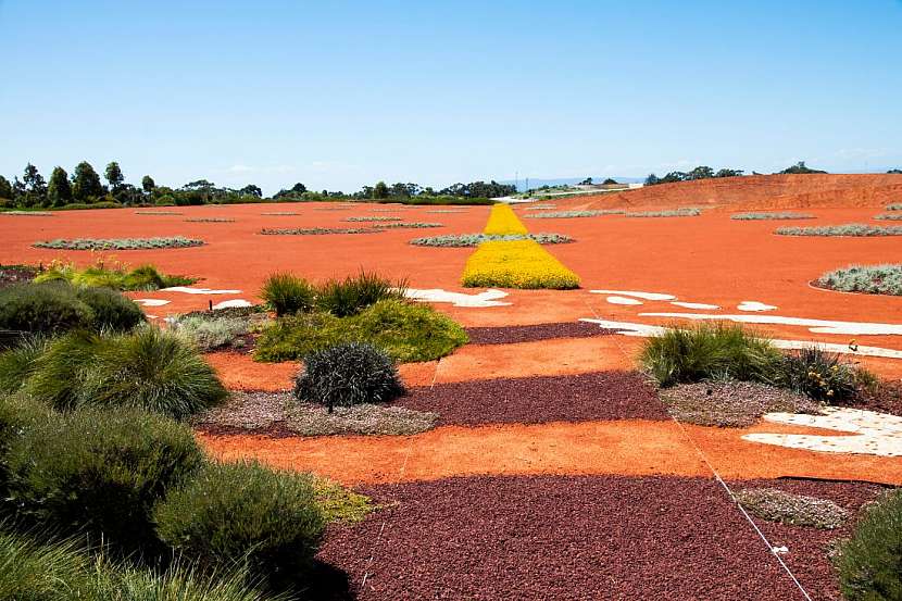 Cranbourne – Royal Botanic Garden aneb Když rozkvete australská pustina