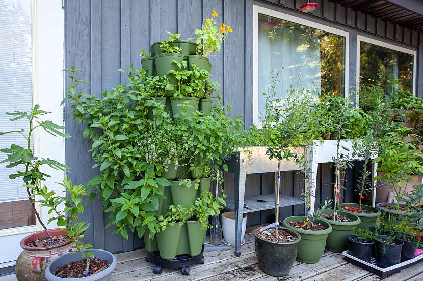 I severně koncipovaný balkon může být zelený 