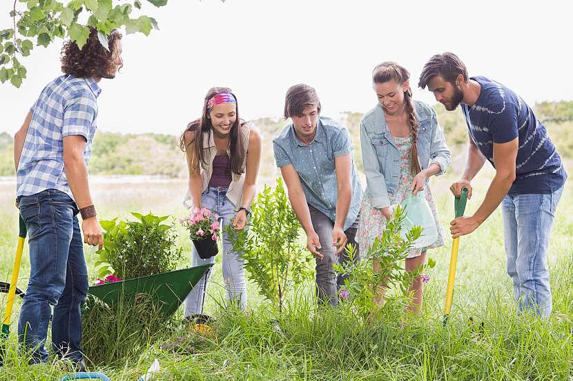 Komunitní zahrada je ideálním místem pro lidi, kteří sdílí společné nadšení (Zdroj: Depositphotos (https://cz.depositphotos.com))