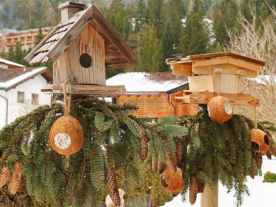 Aby ptáci přežili zimu, musí mít v krmítku dostatek vhodné potravy (Zdroj: Depositphotos (https://cz.depositphotos.com))