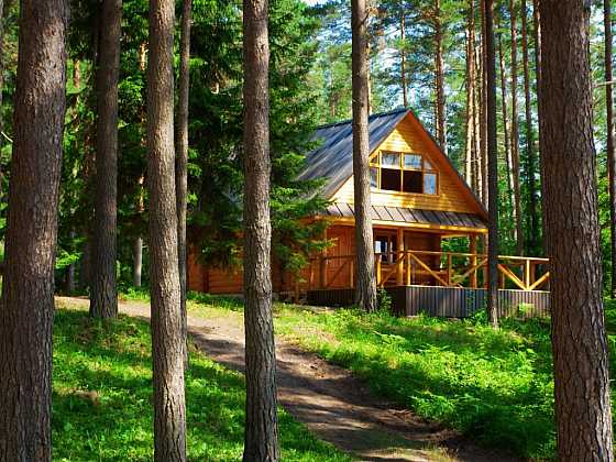 Letní chaty jsou pro roztoče něco jako exotická dovolená pro nás (Zdroj: Radka Nohejlová)