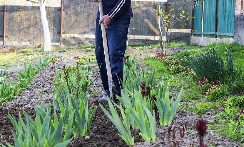 S kypřením půdy začněte hned na jaře, pomůžete tím udržet půdu v dobré kondici (Zdroj: Depositphotos (https://cz.depositphotos.com))